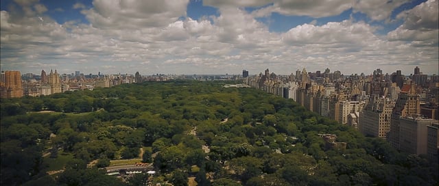 Central Park Zoo Wedding
